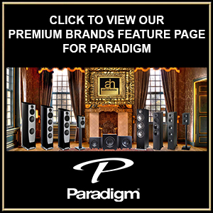 Paradigm Reciprocal Pic to Feature Page Link Template