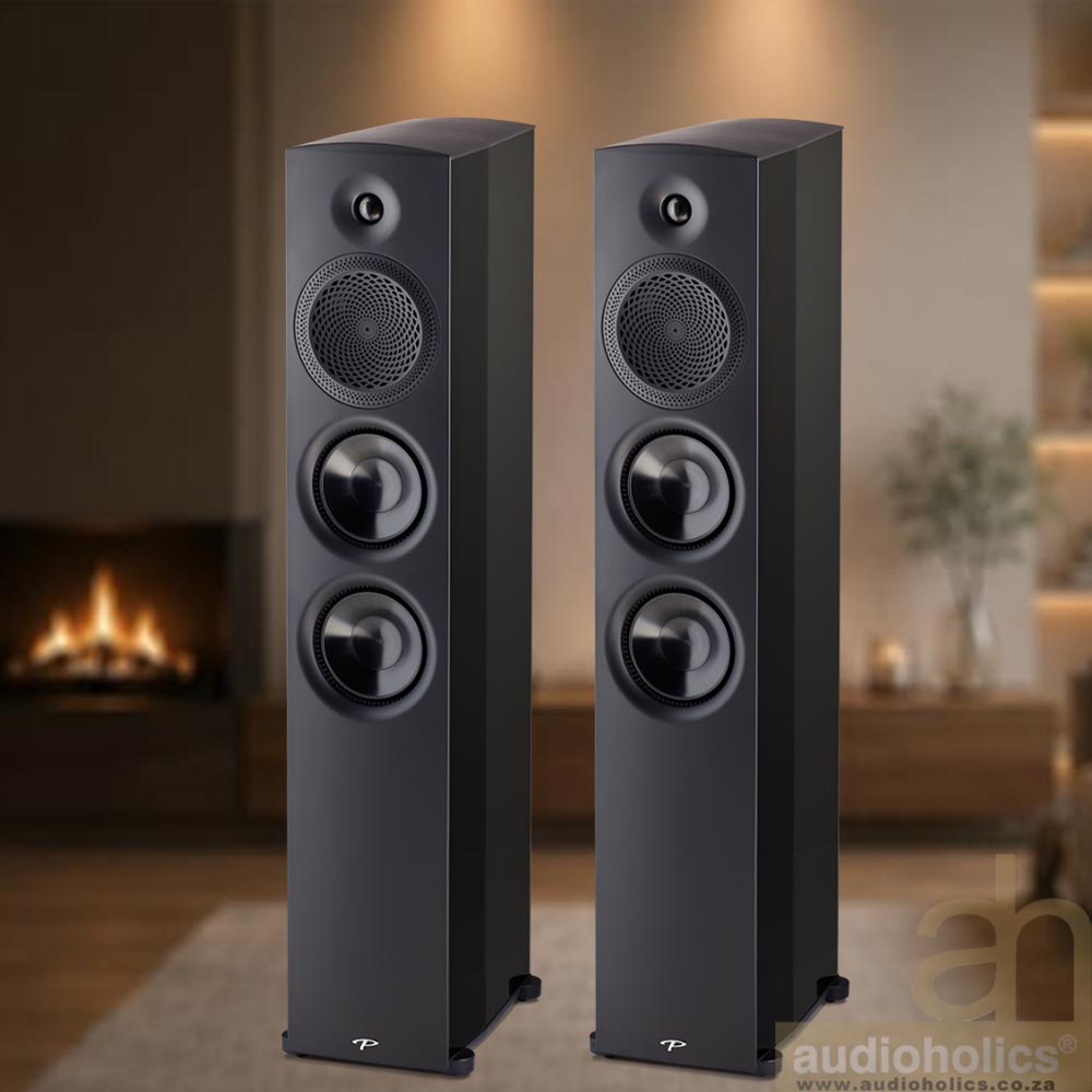Paradigm-Premier-800f - Audioholics South Africa Pair of black floor-standing speakers in a cozy living room with a fireplace in the background, ready for hi-fi listening